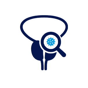 brain-image